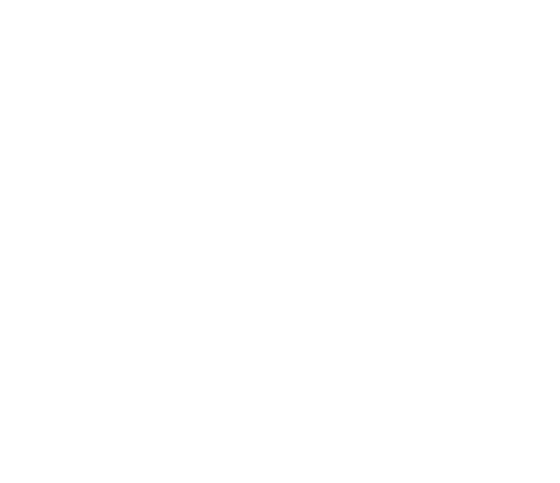 Equine boarding, lessons and polo
