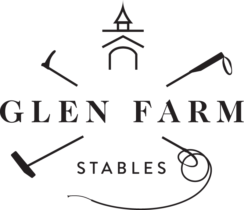 Equine boarding, lessons and polo